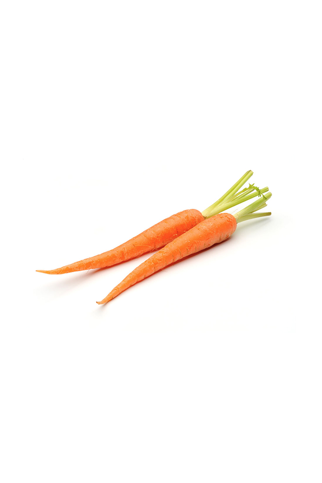 babycarrot-pic